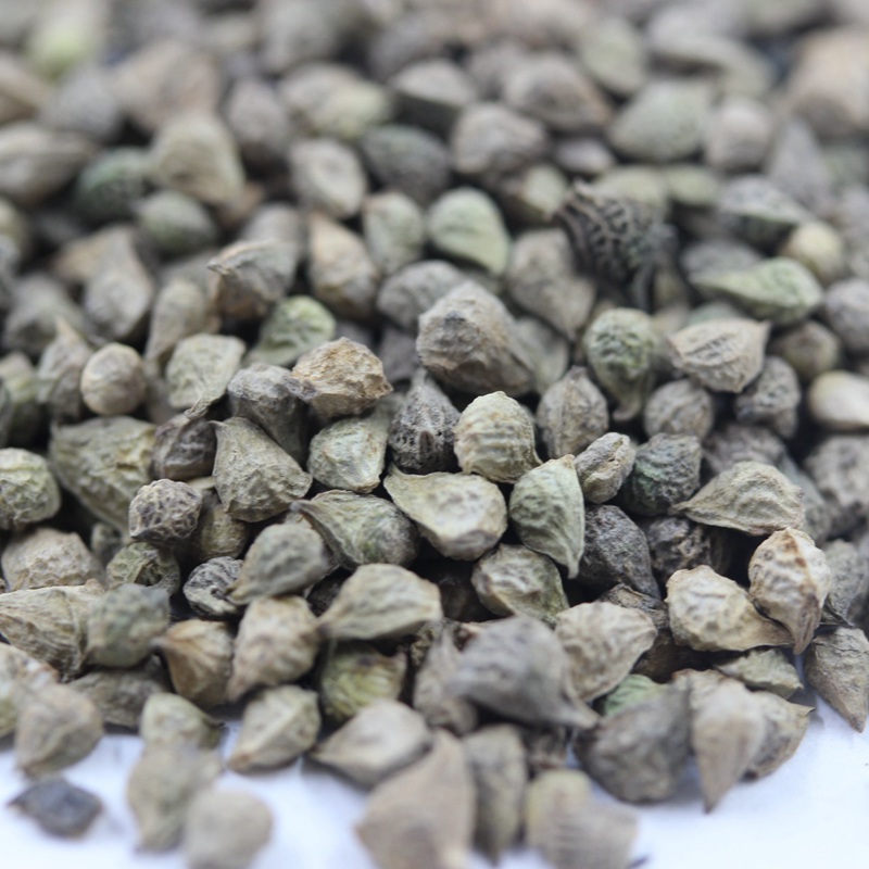 福壽花 福壽花
