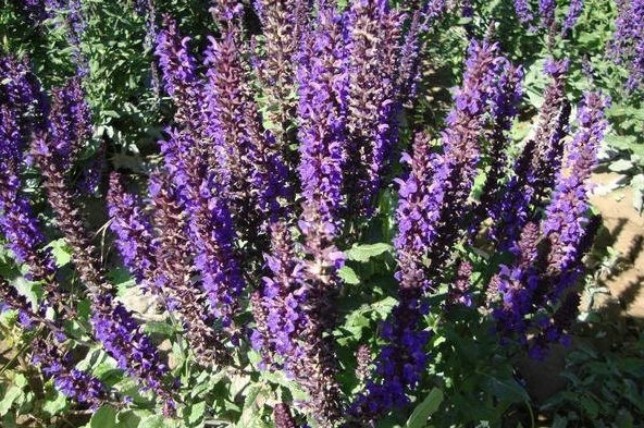 7)Y6O0~F{1]Q6`6GWM1(%5Q.jpg