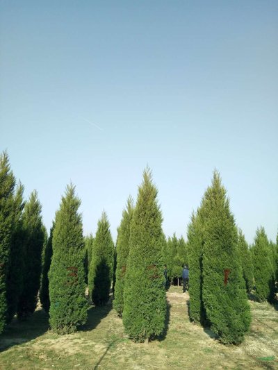 1630076383291630.jpg