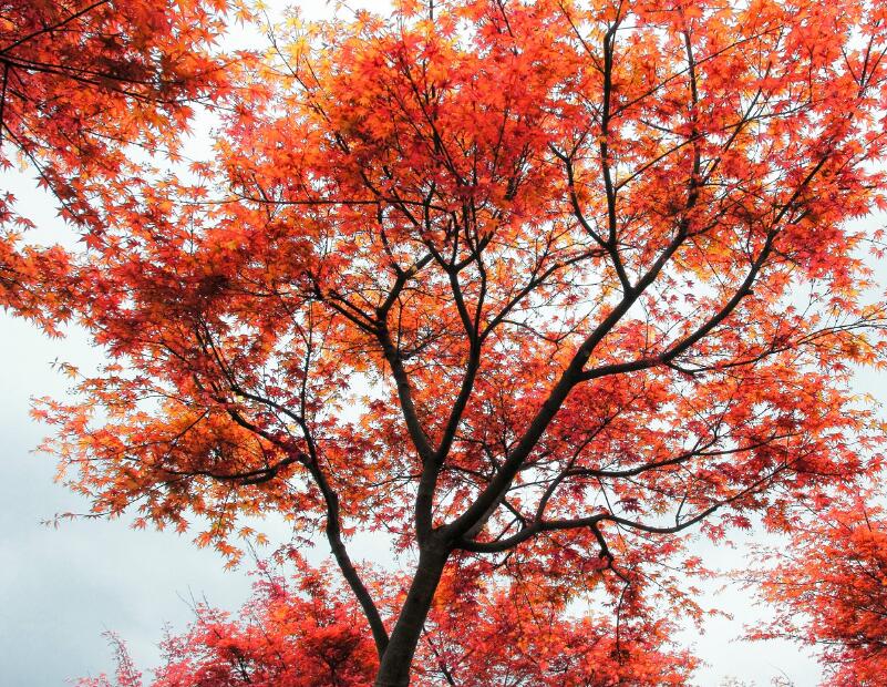 1636189855954644.jpg