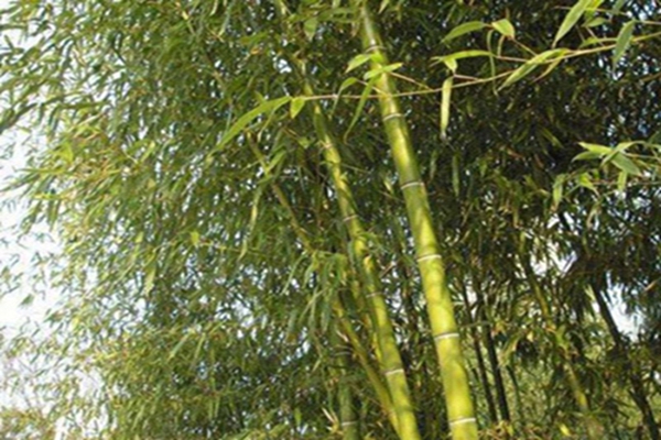 1644129918927959.jpg