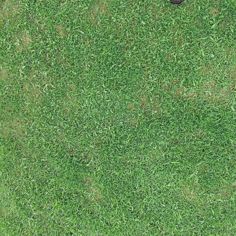 1647397410397941.jpg