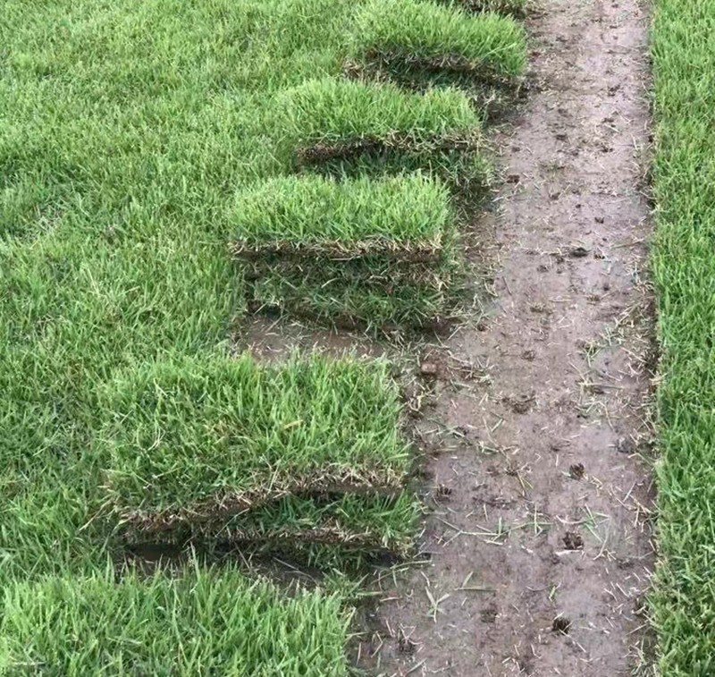 1650343939592858.jpg