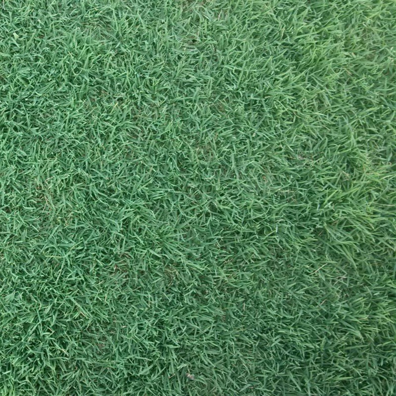 1651762980137041.jpg