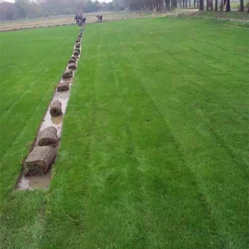 1658672217131113.jpg