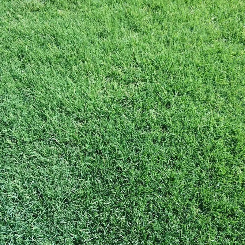 1671006237504682.jpg