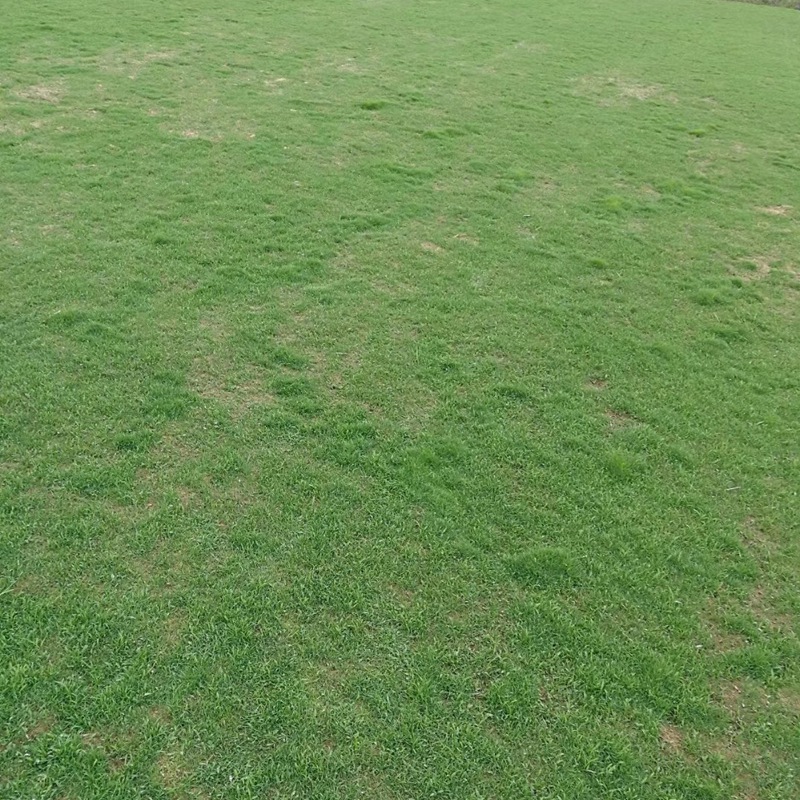 1671006657835707.jpg